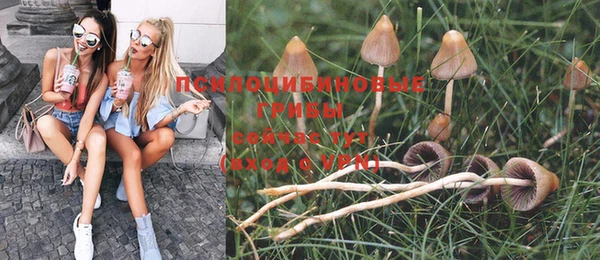 а пвп мука Нея