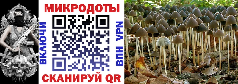Псилоцибиновые грибы мухоморы  как найти закладки  kraken как зайти  Рассказово 