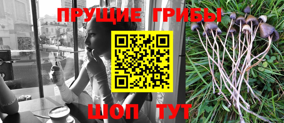 Псилоцибиновые грибы ЛСД Рассказово