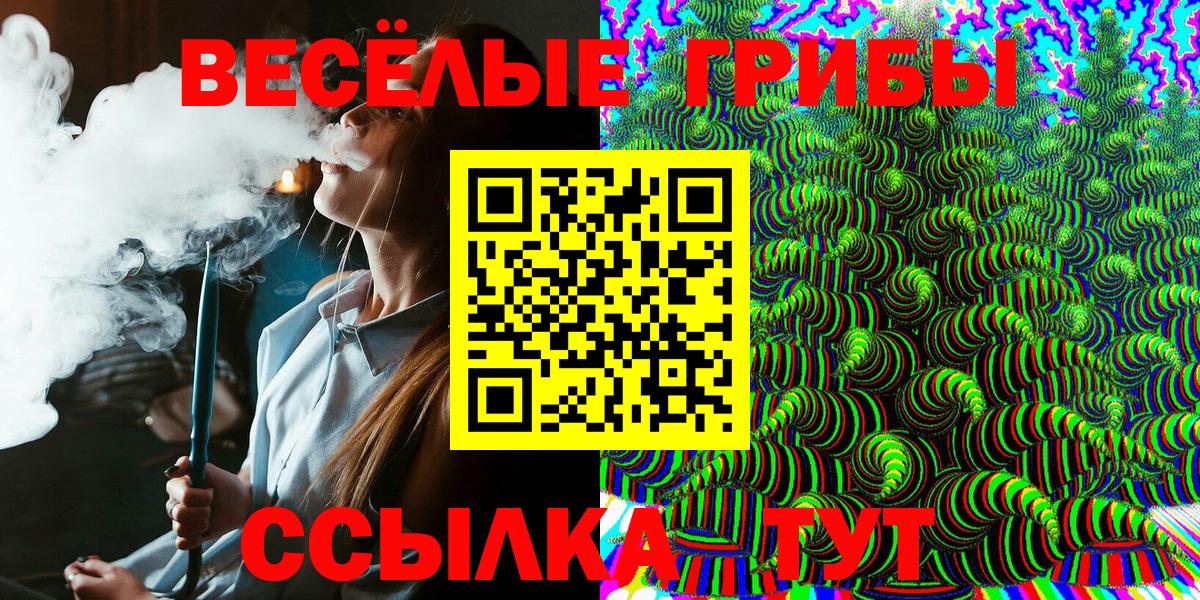 Псилоцибиновые грибы ЛСД  купить   Рассказово  Псилоцибиновые грибы Cubensis 