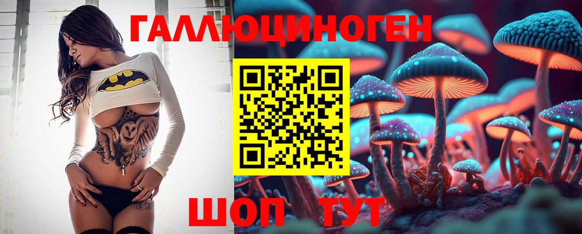 Галлюциногенные грибы MAGIC MUSHROOMS  Вход с VPN  Галлюциногенные грибы MAGIC MUSHROOMS  Рассказово 