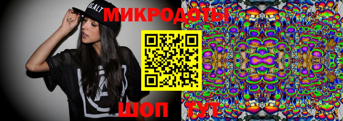 Псилоцибиновые грибы Psilocybe Рассказово